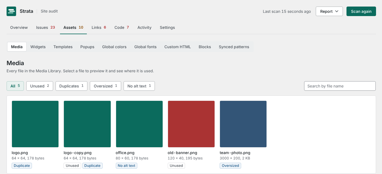 The Assets tab showing the media library as a grid of thumbnails, with filter chips for All, Unused, Duplicates, Oversized and No alt text, and tags under each file such as Duplicate, Unused, No alt text and Oversized.